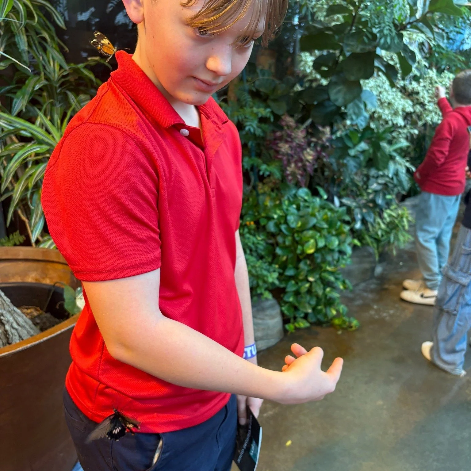 What a day our third, fourth, and fifth graders had at the @milwaukeepublicmuseum today!  Can you spot the sneaky butterfly who tried to hitchhike out on the shirt of the student in the first photo? 🦋