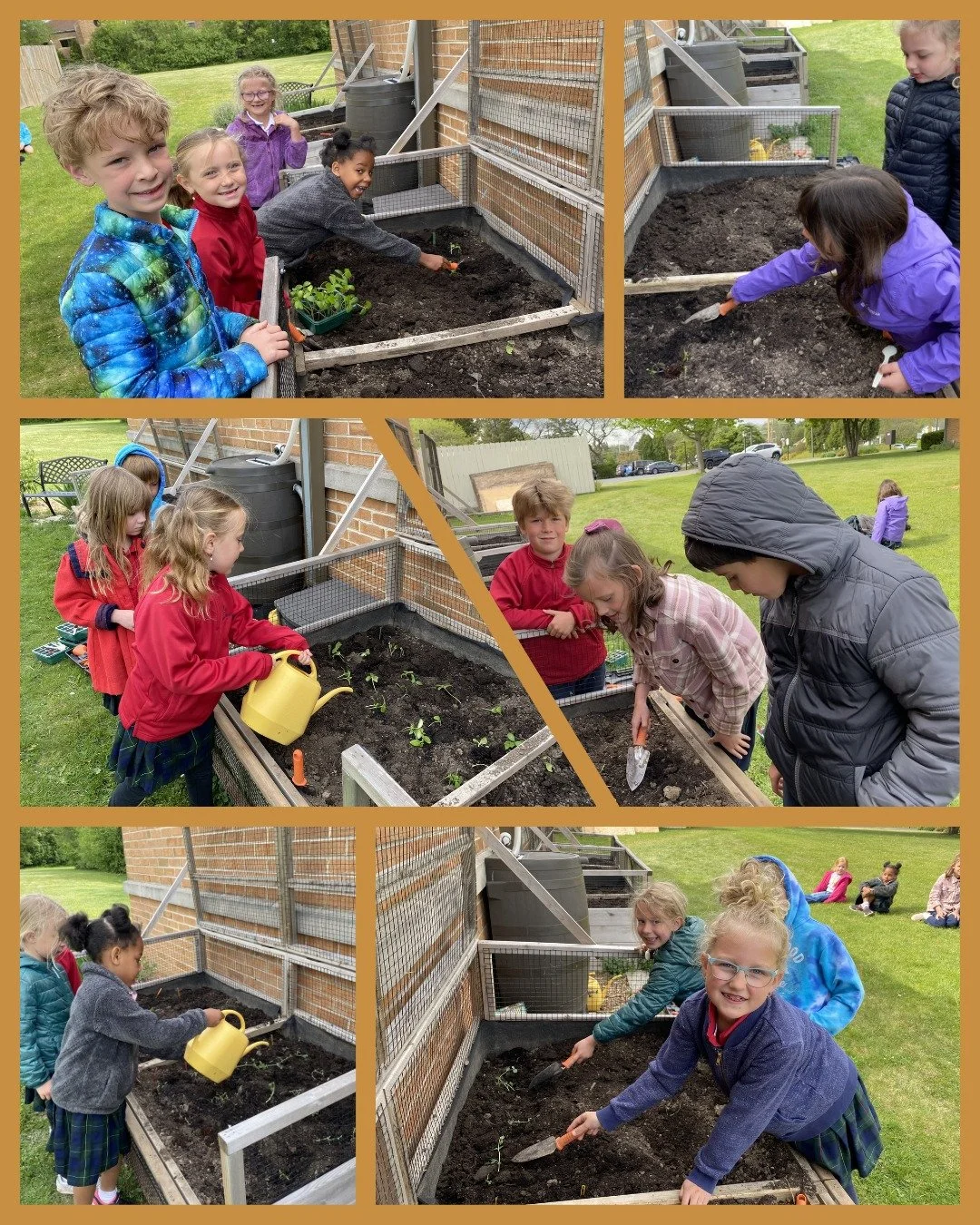 First graders are not afraid to get their hands dirty! They planted and watered seeds in our school garden, so check back soon to see what will grow! 🌱