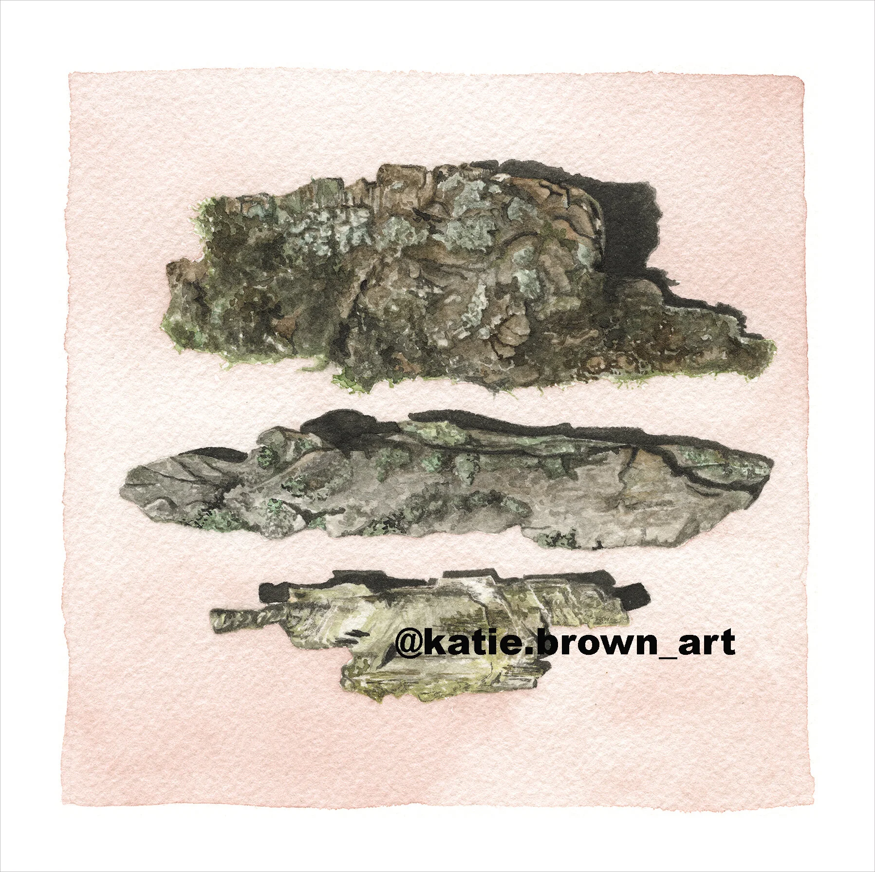 Barkwithwatermark copy.jpg