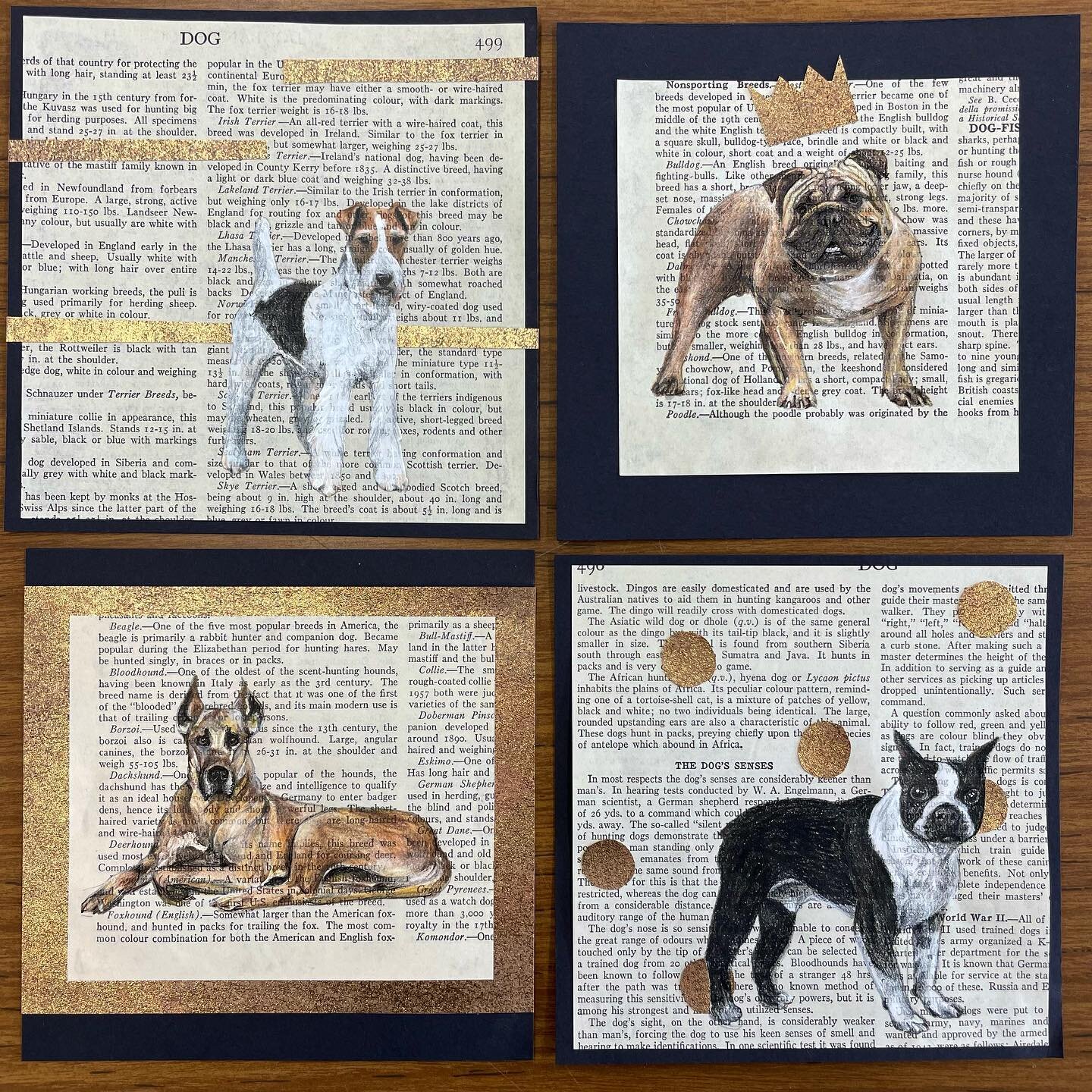 These four little drawing/collage pieces are headed off to RoCo @roco137 this weekend for the 6x6 show! I hope these happy little doggies find a special home! Last picture is our Monty who has gained 40 lbs. since Christmas. 😱 
.
.
.
#6x6 #6x6x2022 