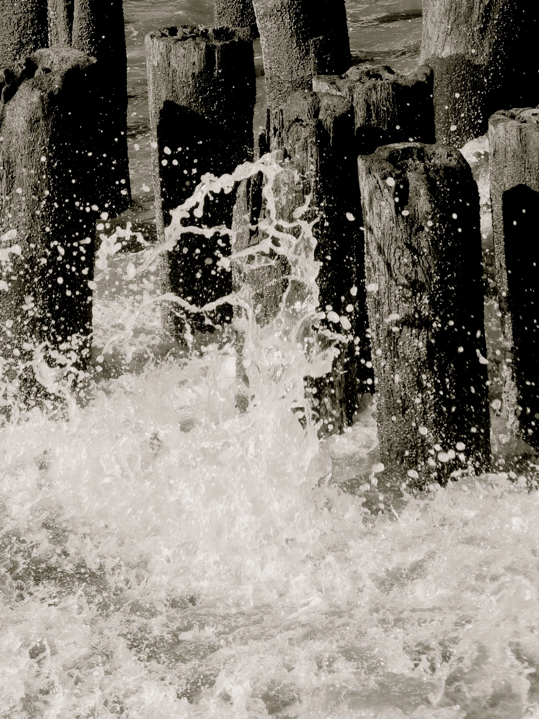 Splash.jpg