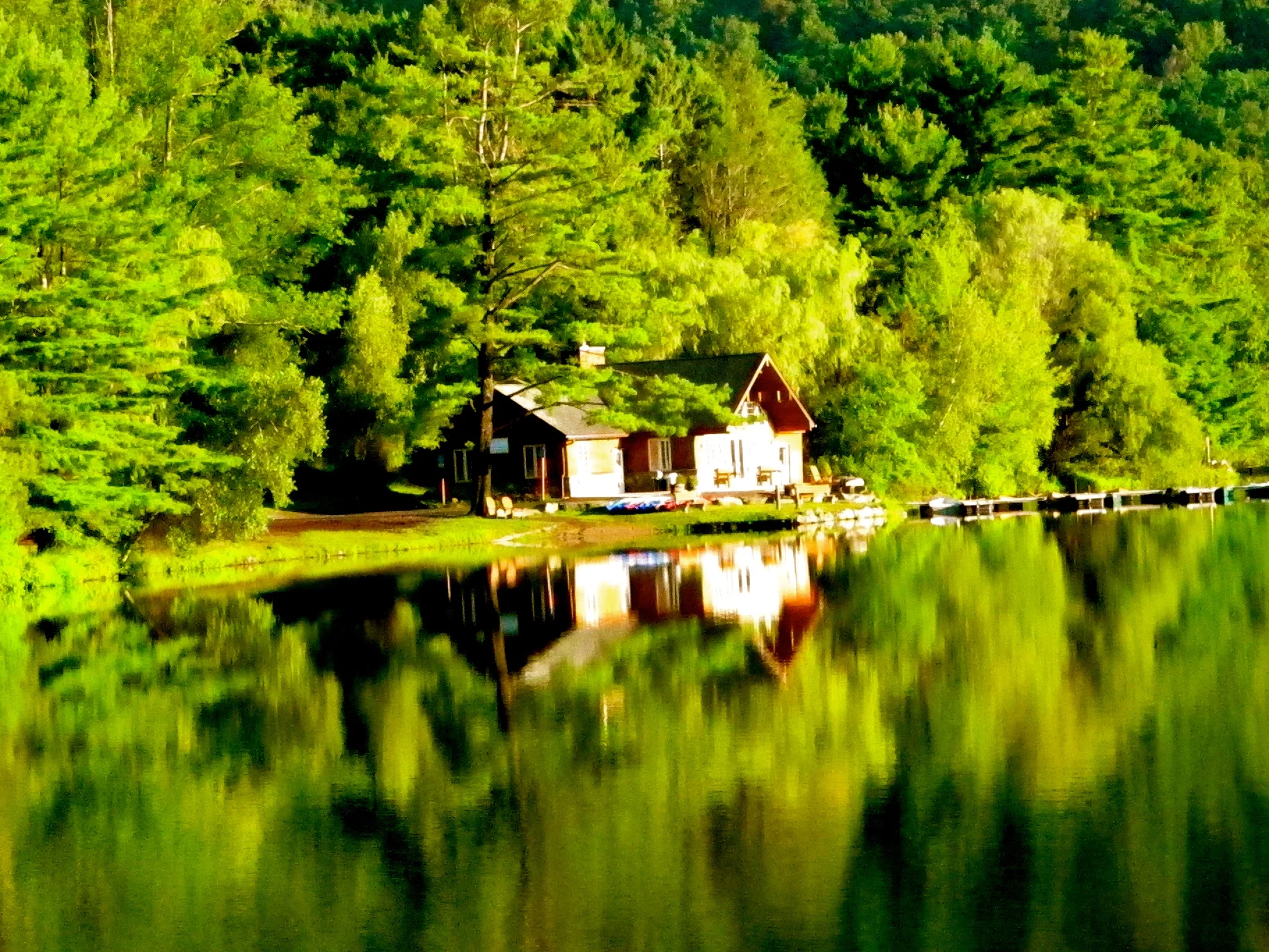 Reflections