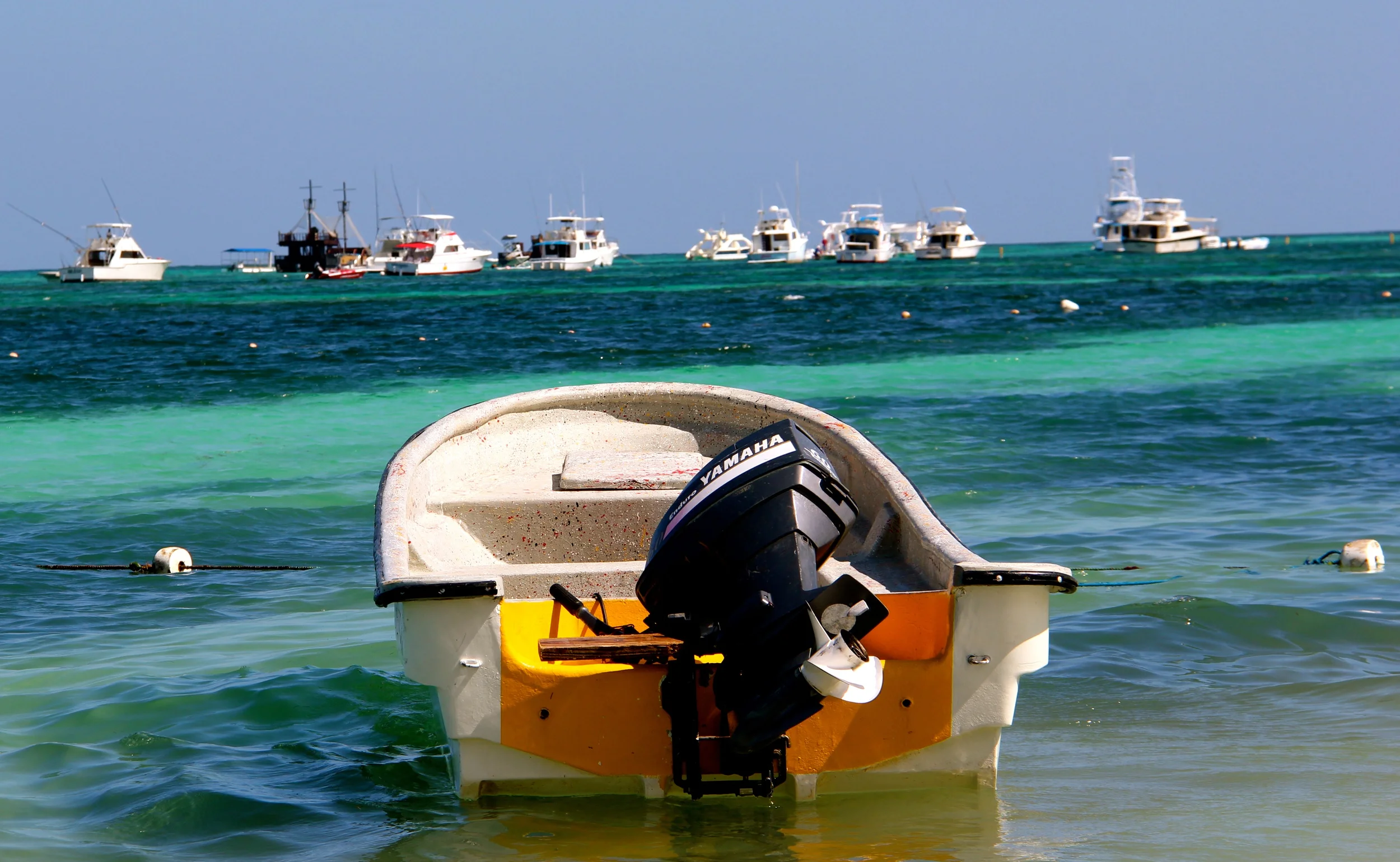Open Waters