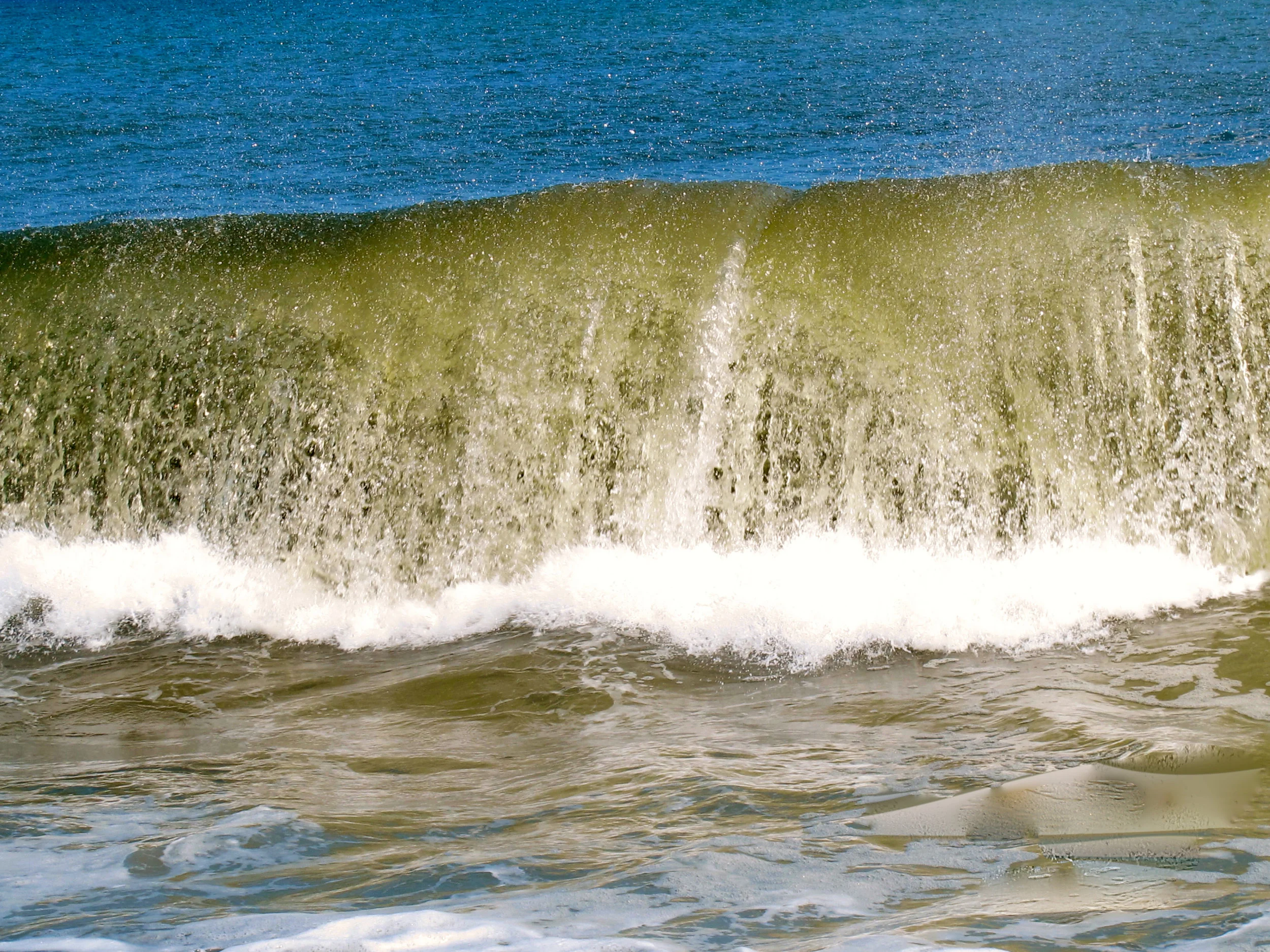 CrestingSurf.jpg