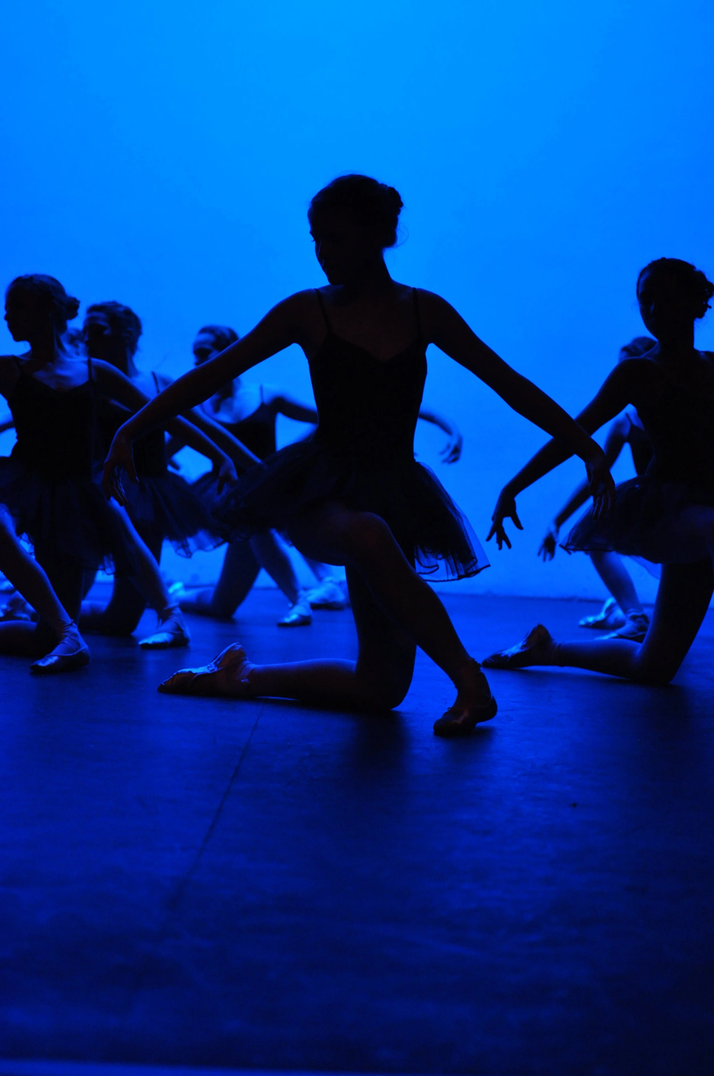 show 10 blue.JPG