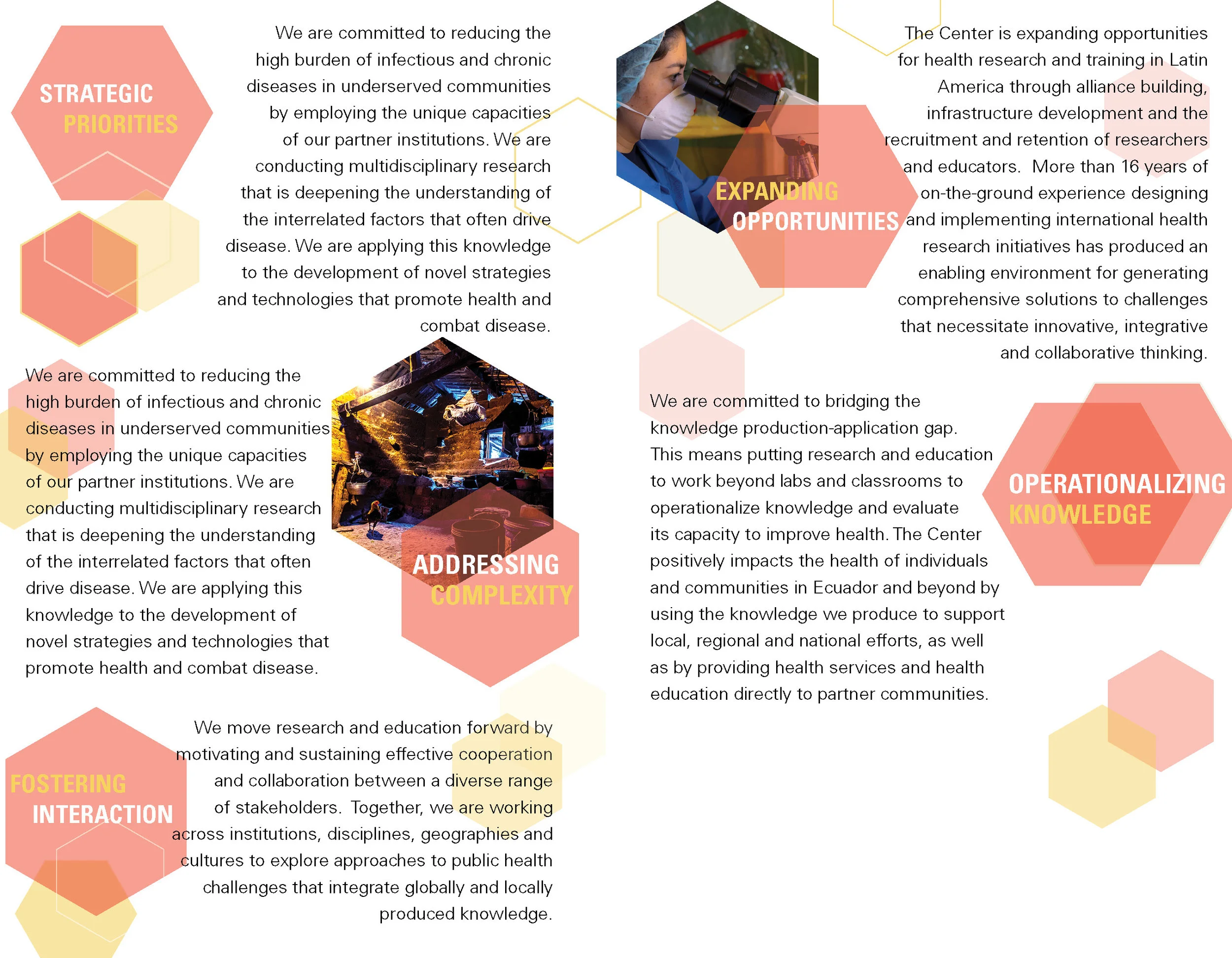tdi_euro_brochure3.jpg