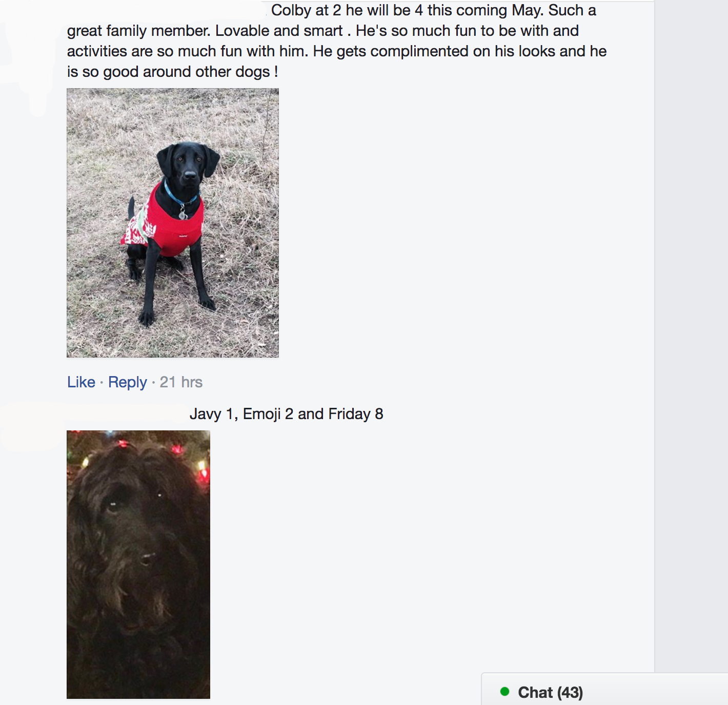 Screen Shot 2017-12-12 at 9.07.26 AM.png
