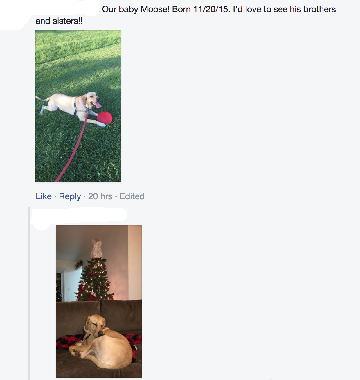 Screen Shot 2017-12-12 at 9.08.21 AM.png