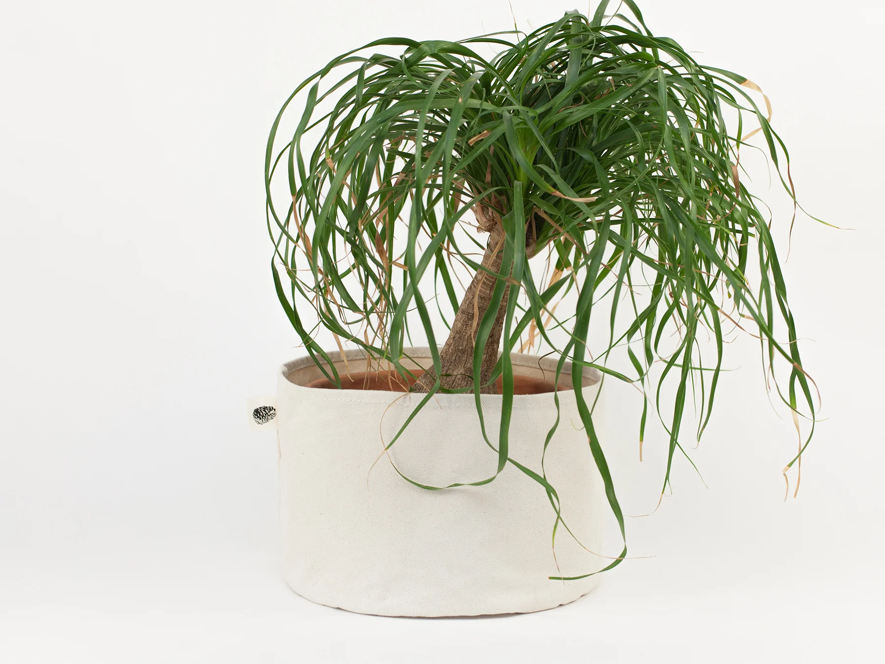 BlkPine_Home_Planter_Natural_Medium_2.jpg