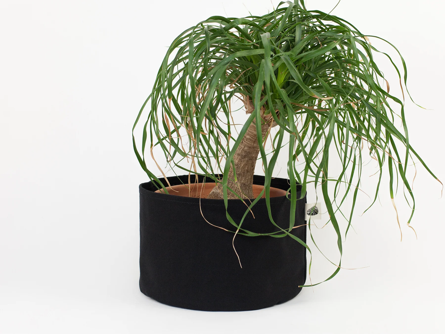 BlkPine_Home_Planter_Black_Medium_2.jpg