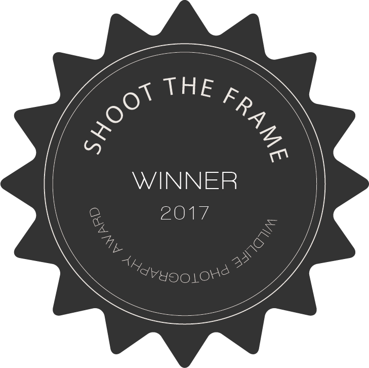 shoot_the_wild_winner_badge_2017.png