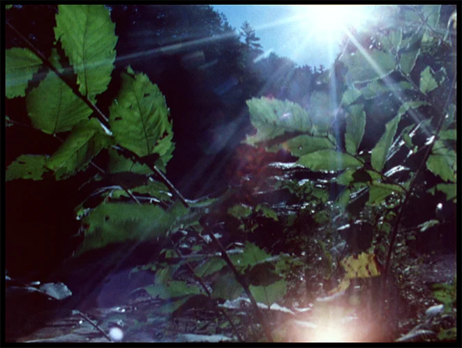 Light Streaming sun water.jpg