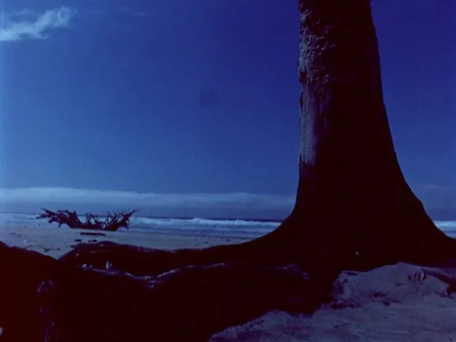 Light+Streaming+beach+stump.jpg