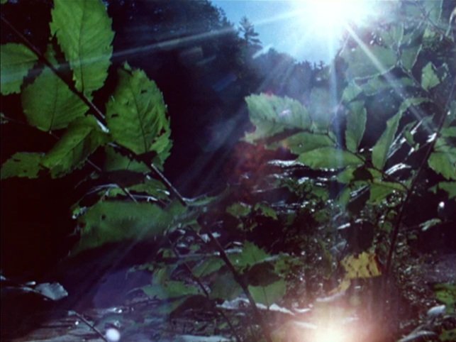 Light+Streaming+sun+water.jpg