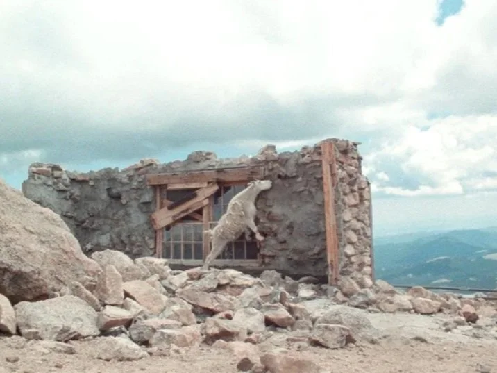 Kathleen+Kathy+Rugh+film+Alpine+Tundra+still+3.jpg