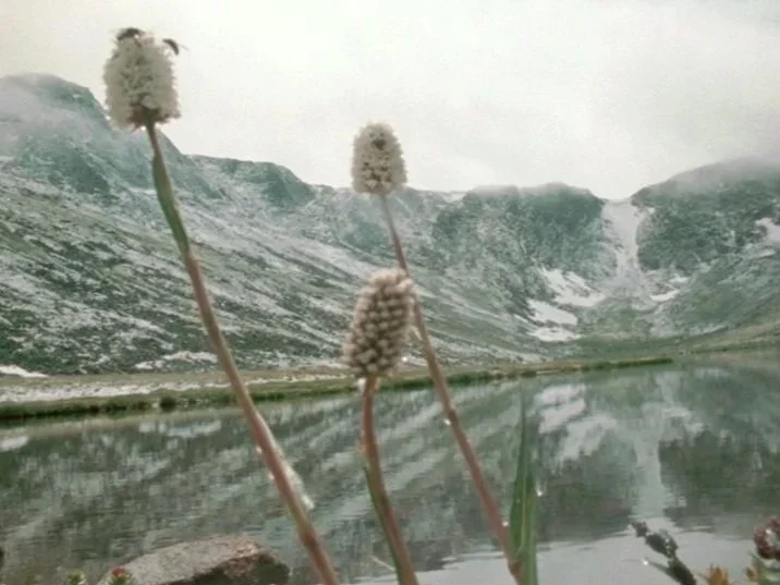 Kathleen+Kathy+Rugh+film+Alpine+Tundra+still+2.jpg