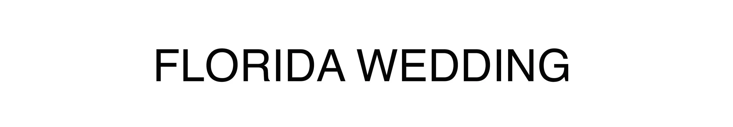 FLORIDA WEDDING.jpg