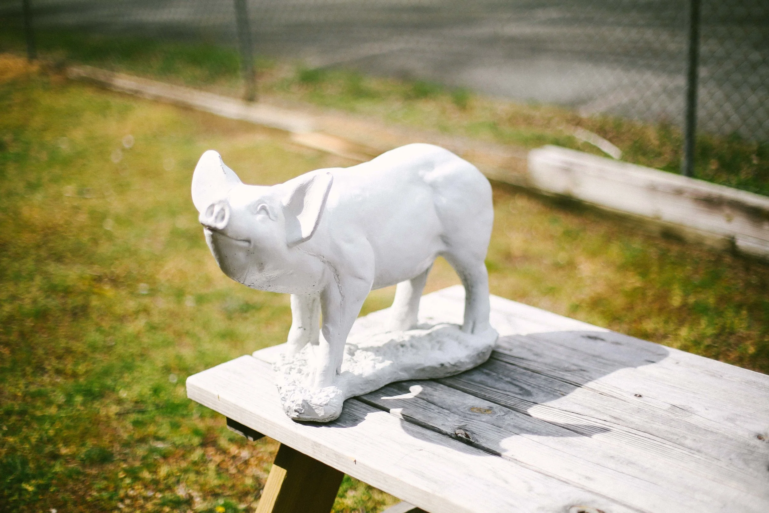 Mr. Pig before his makeover