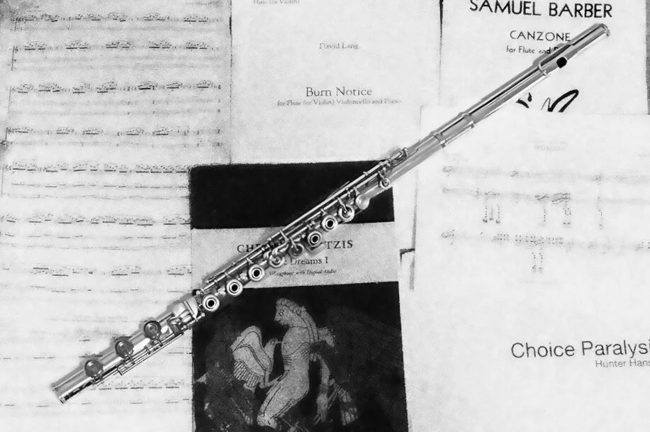 Hannah Donnelly: NYU Master's Recital &amp; Showcase: February 7th, 2020