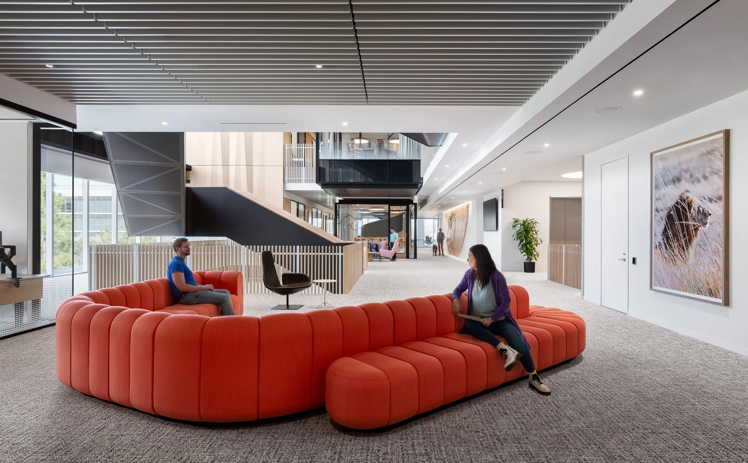 7 - (017) 8999 V5.jpg