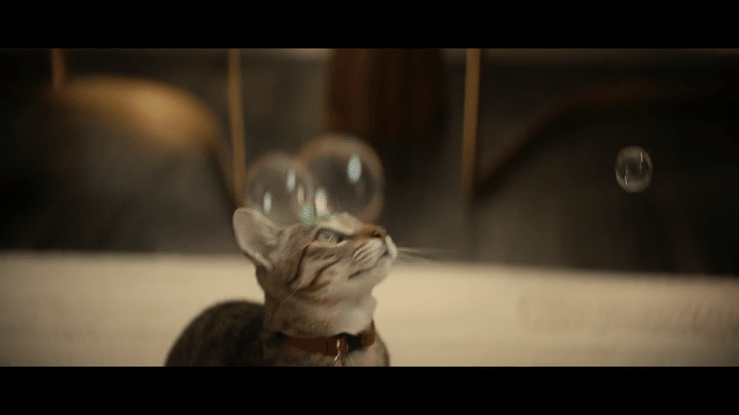 Cookie's Bubble-high.gif
