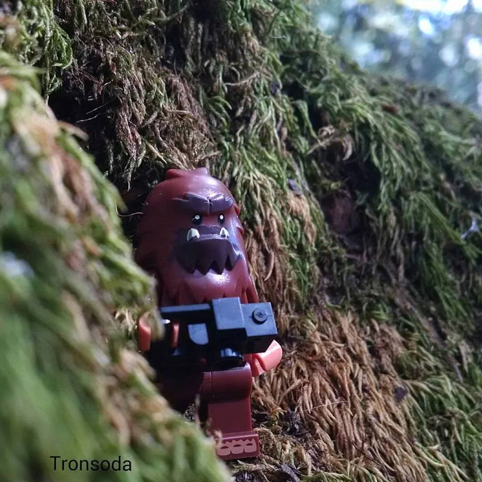 Bigfoot Explores