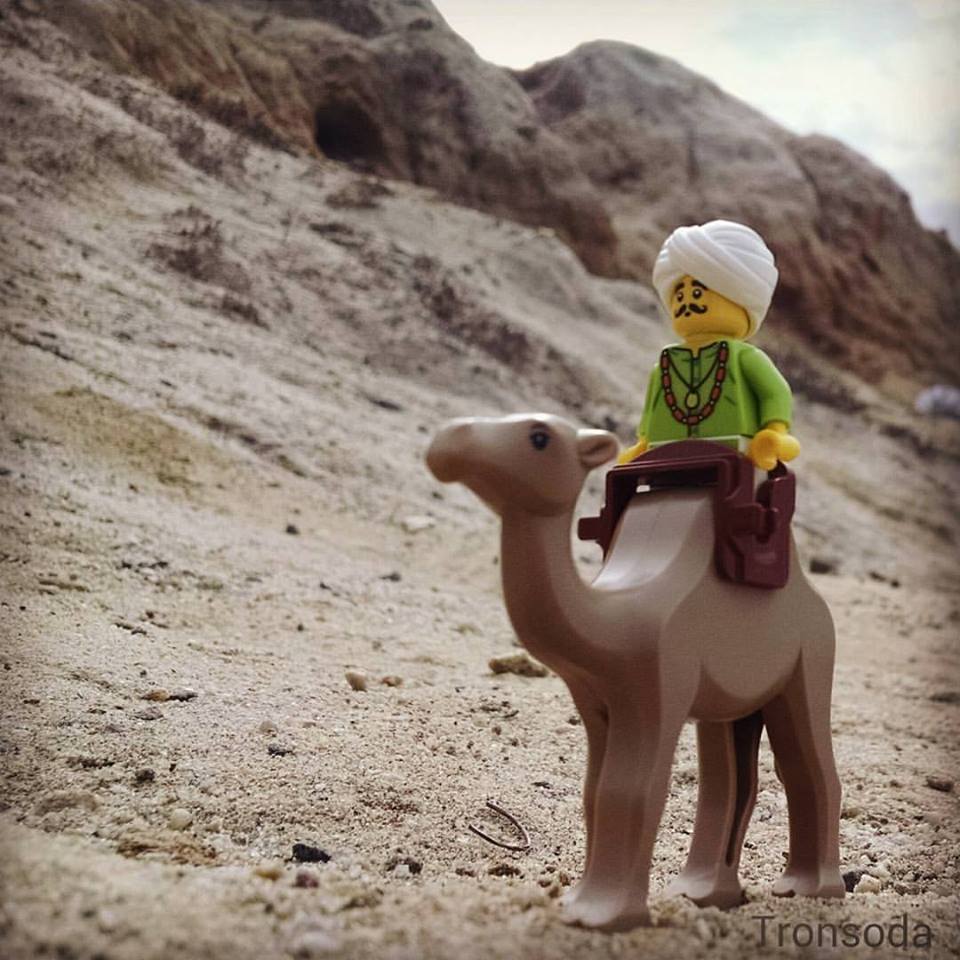 Desert Walk