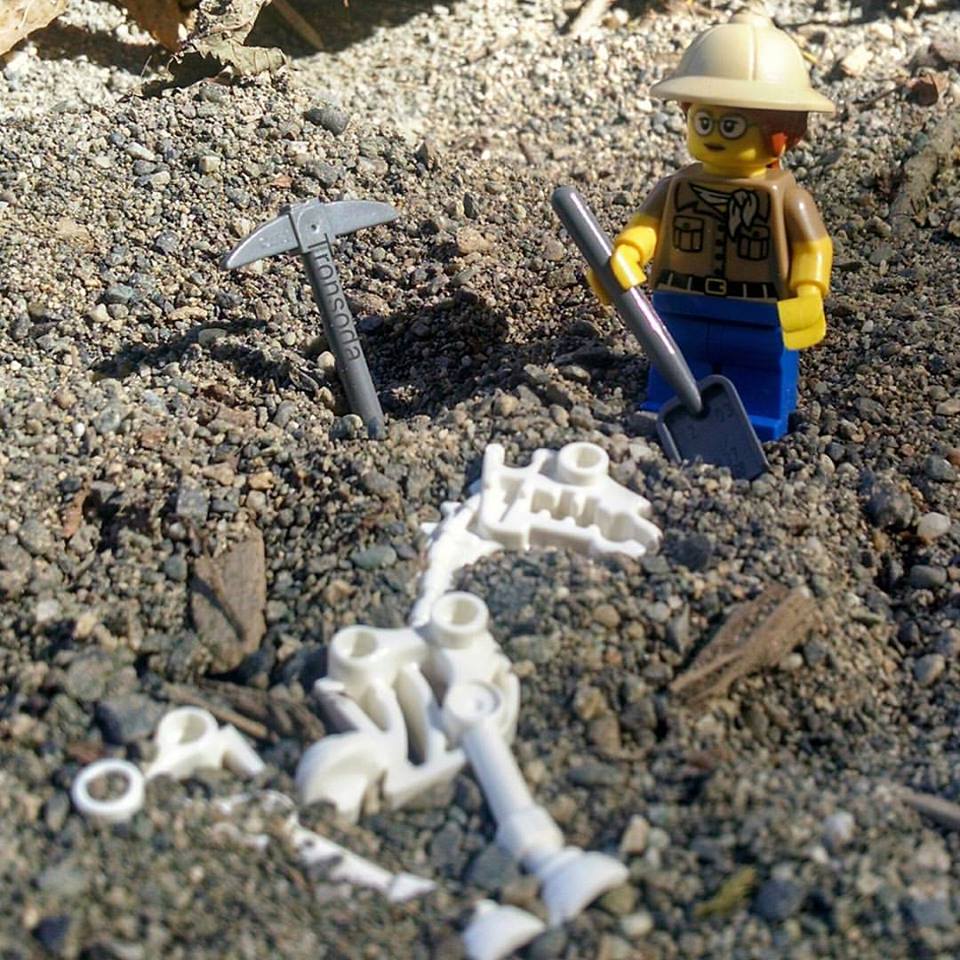 Digging for Dino's