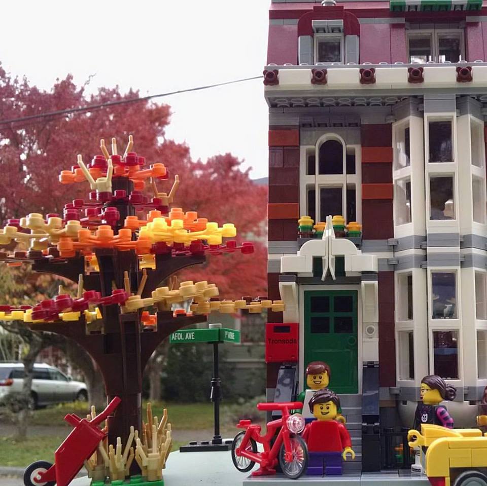 Fall Neighborhood