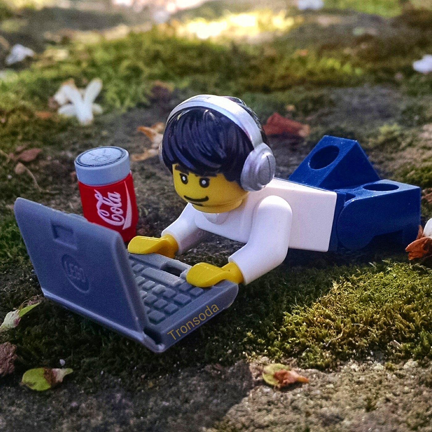 A beautiful day to be outside, no matter what you do with it.