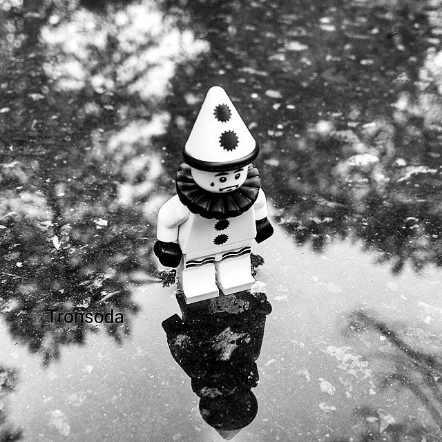 Reflections