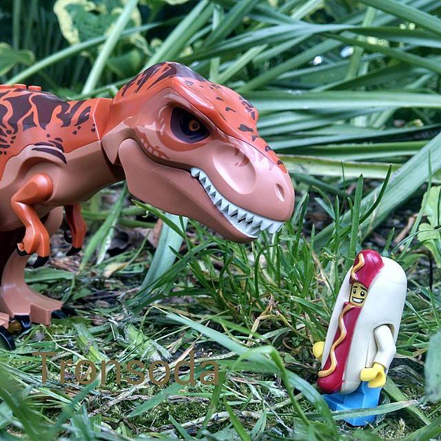 "Why are you looking at me like that Rexy?"