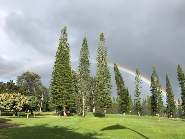 Welcome to our 40th annual Senior Women's Championship
