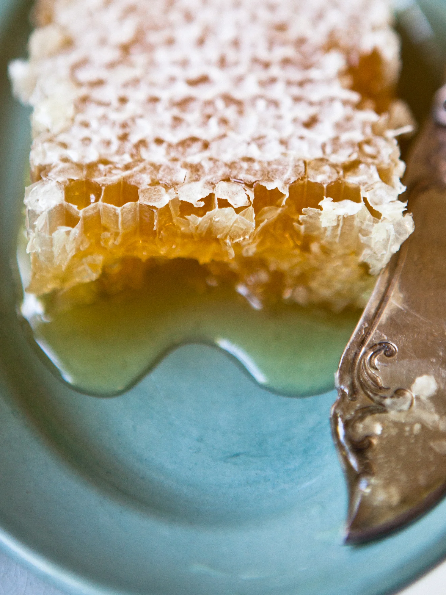 erinscott_yummysupper-13.jpg