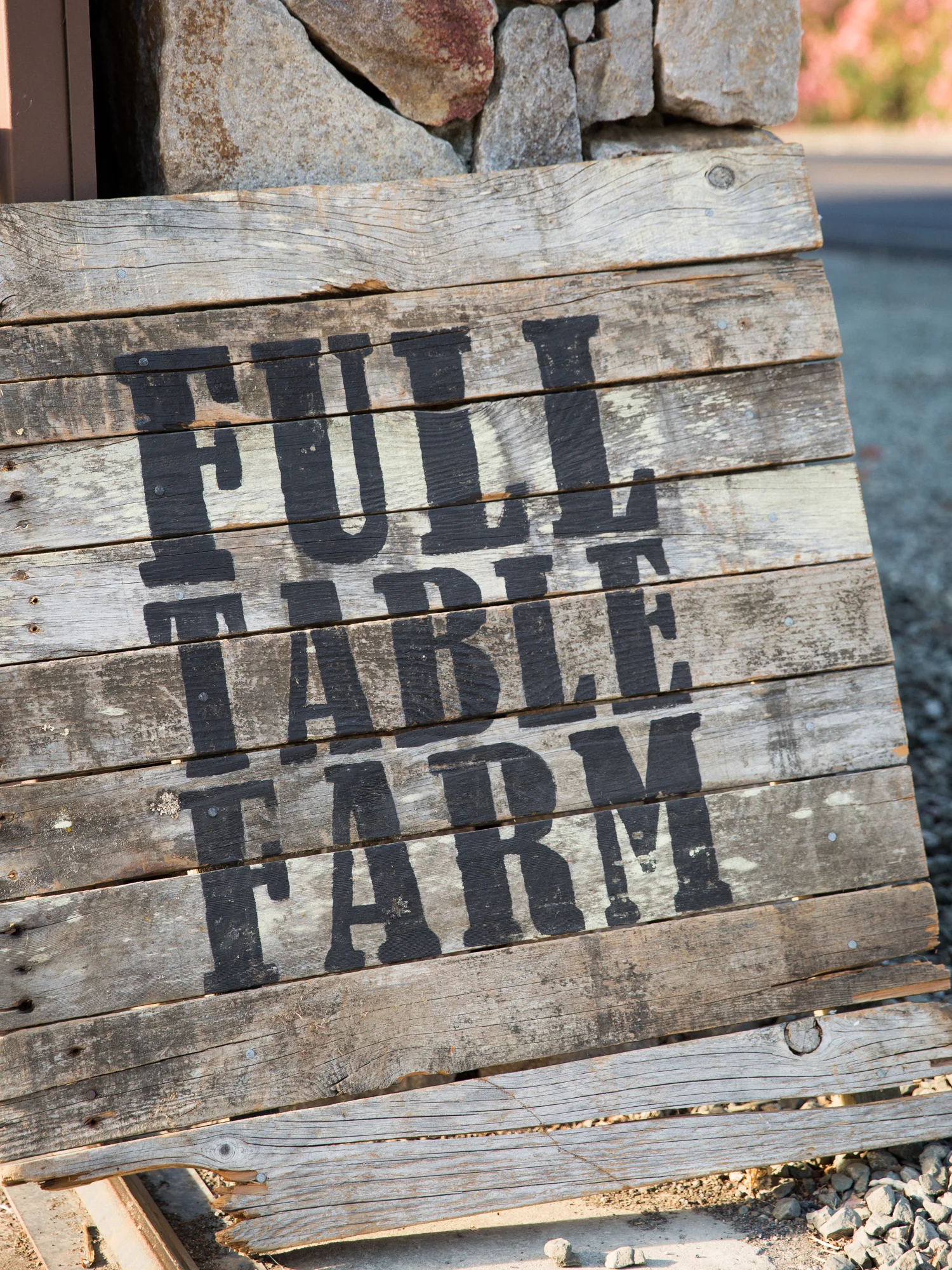 erinscottphotography_farmsandfarmers-42.jpg