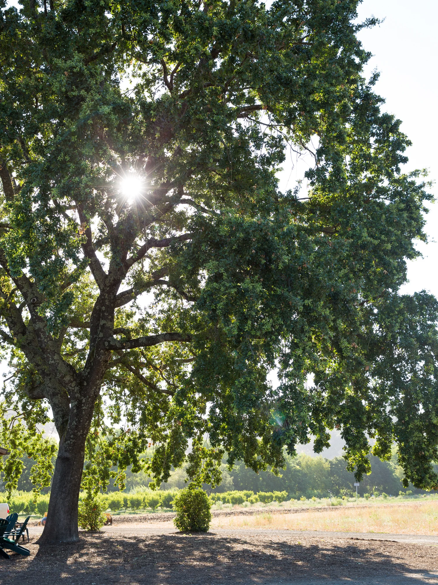 erinscottphotography_farmsandfarmers-65.jpg