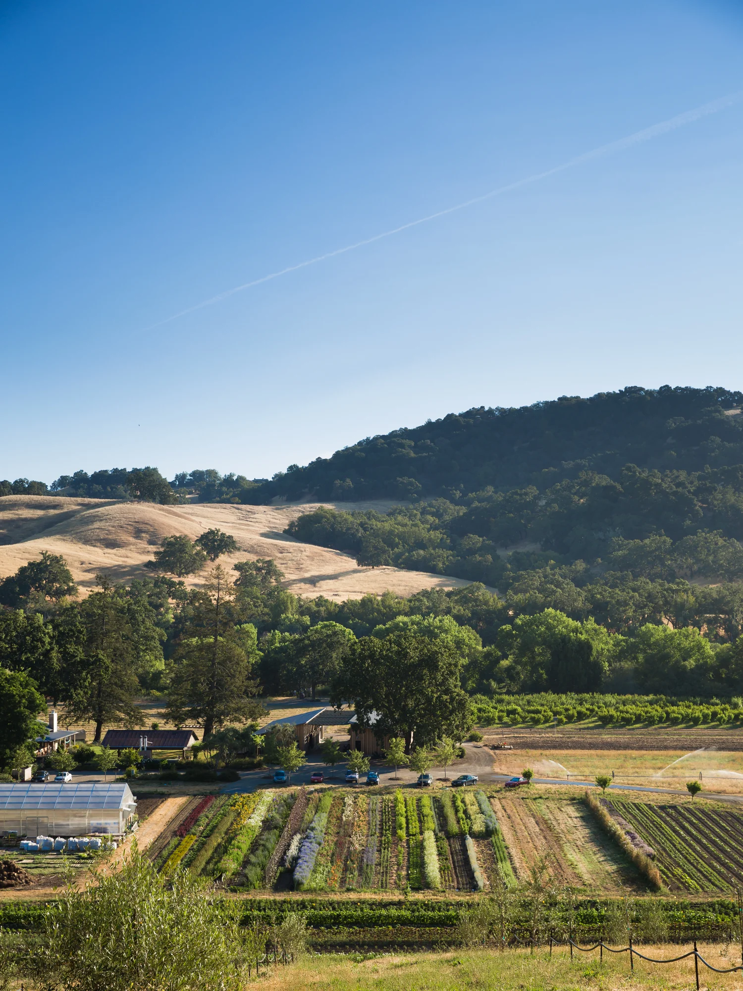 erinscottphotography_farmsandfarmers-66.jpg