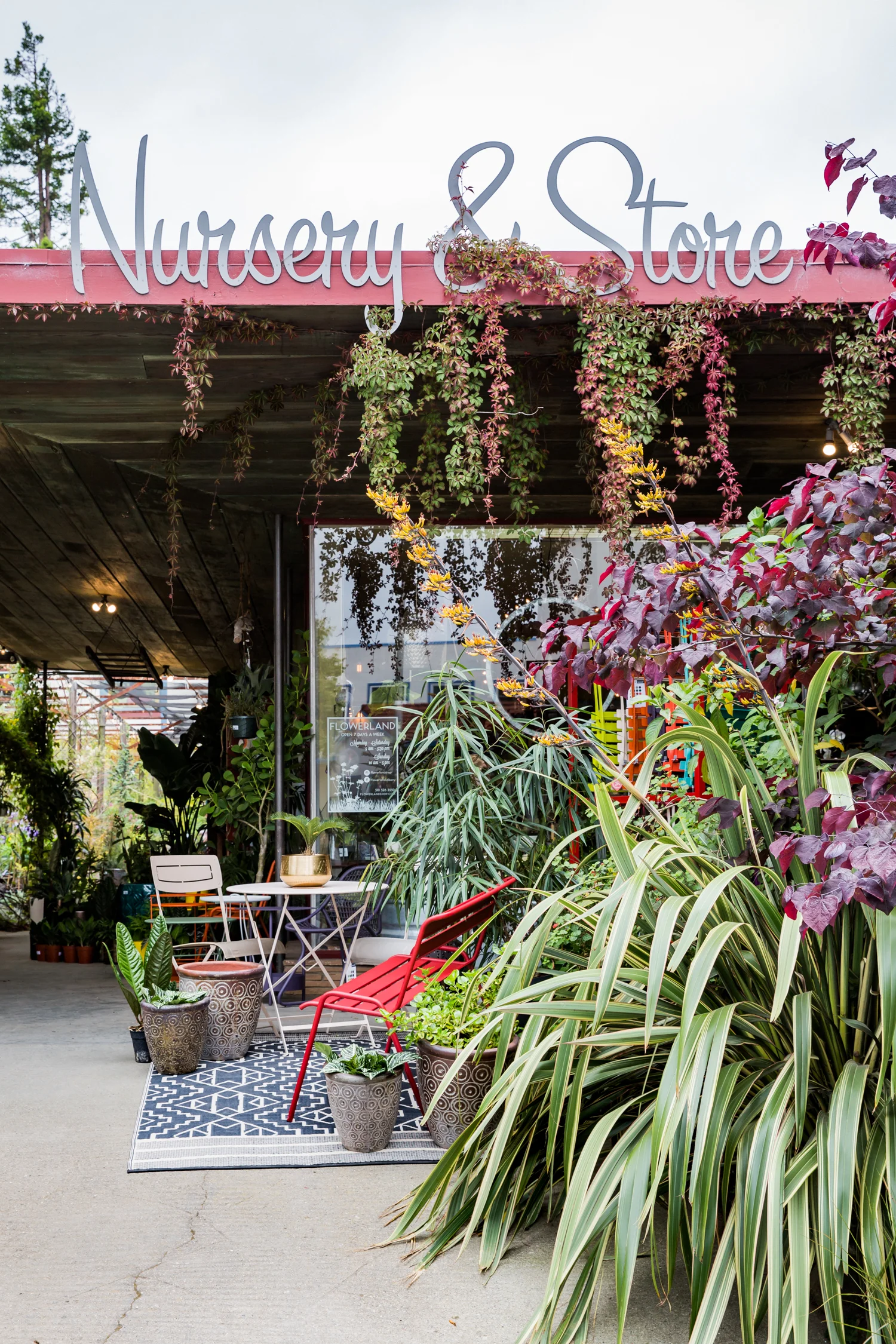 erinscottphotography_flowerland-3.jpg