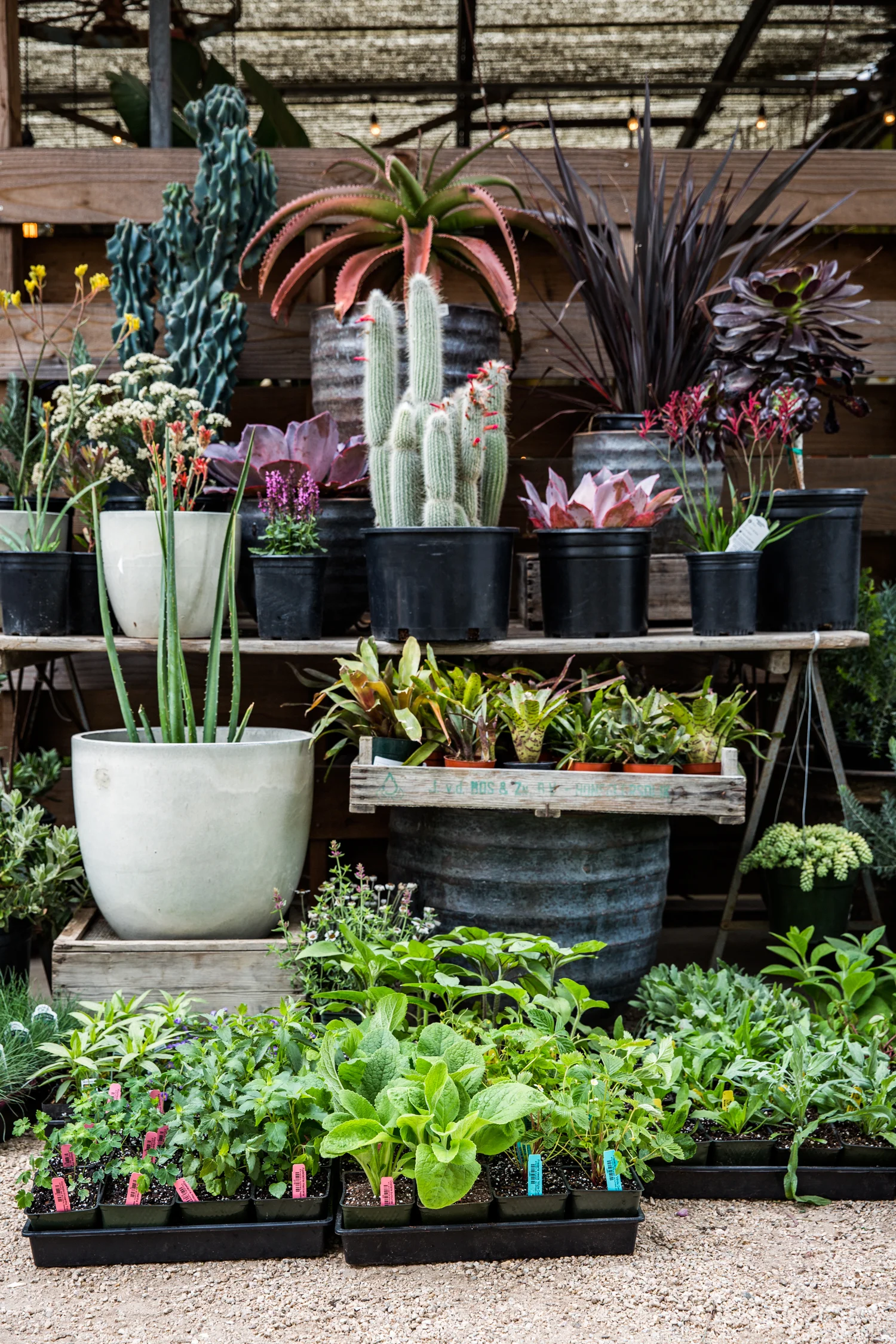 erinscottphotography_flowerland-28.jpg