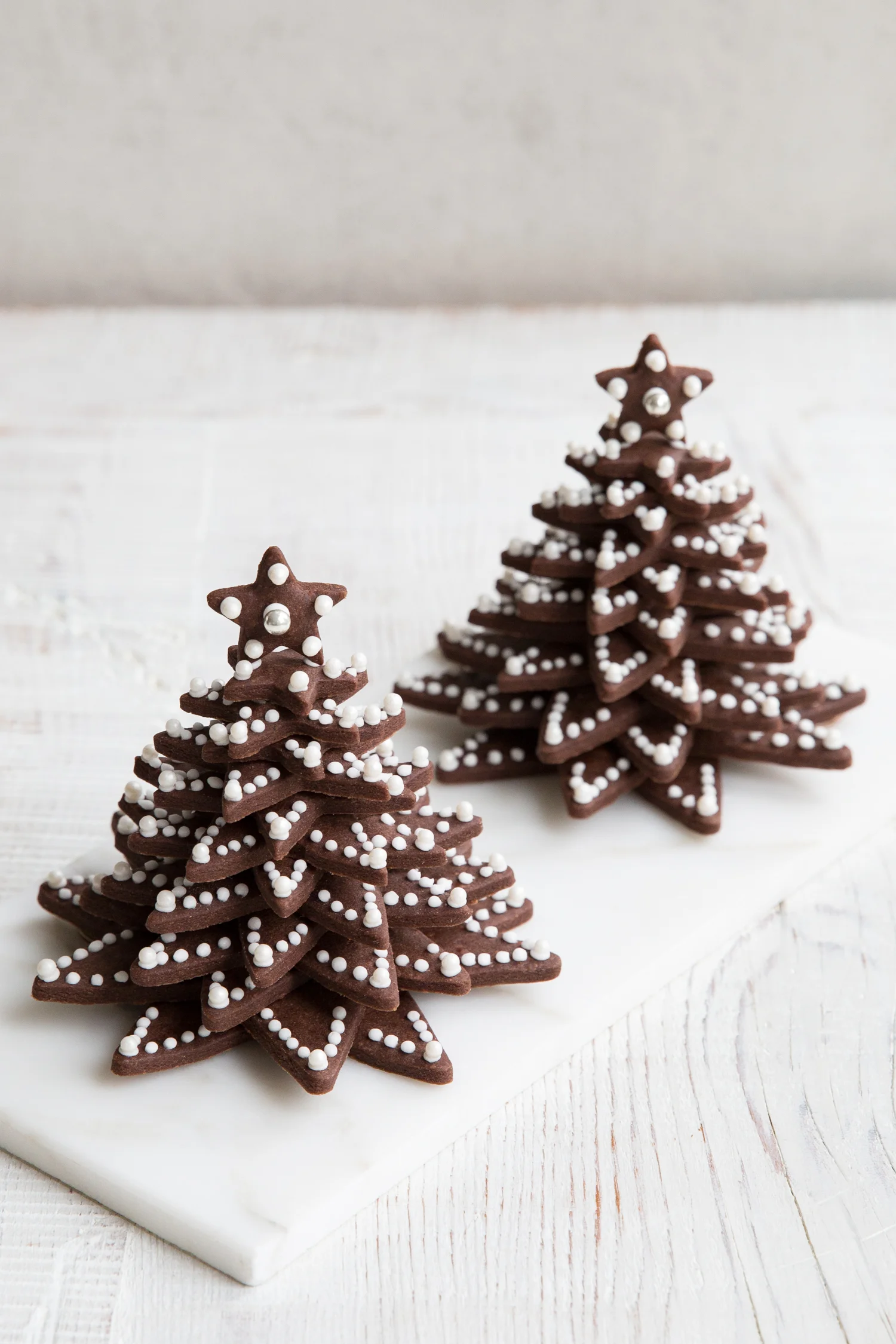 erinscottphotography_holidaycookies-29.jpg