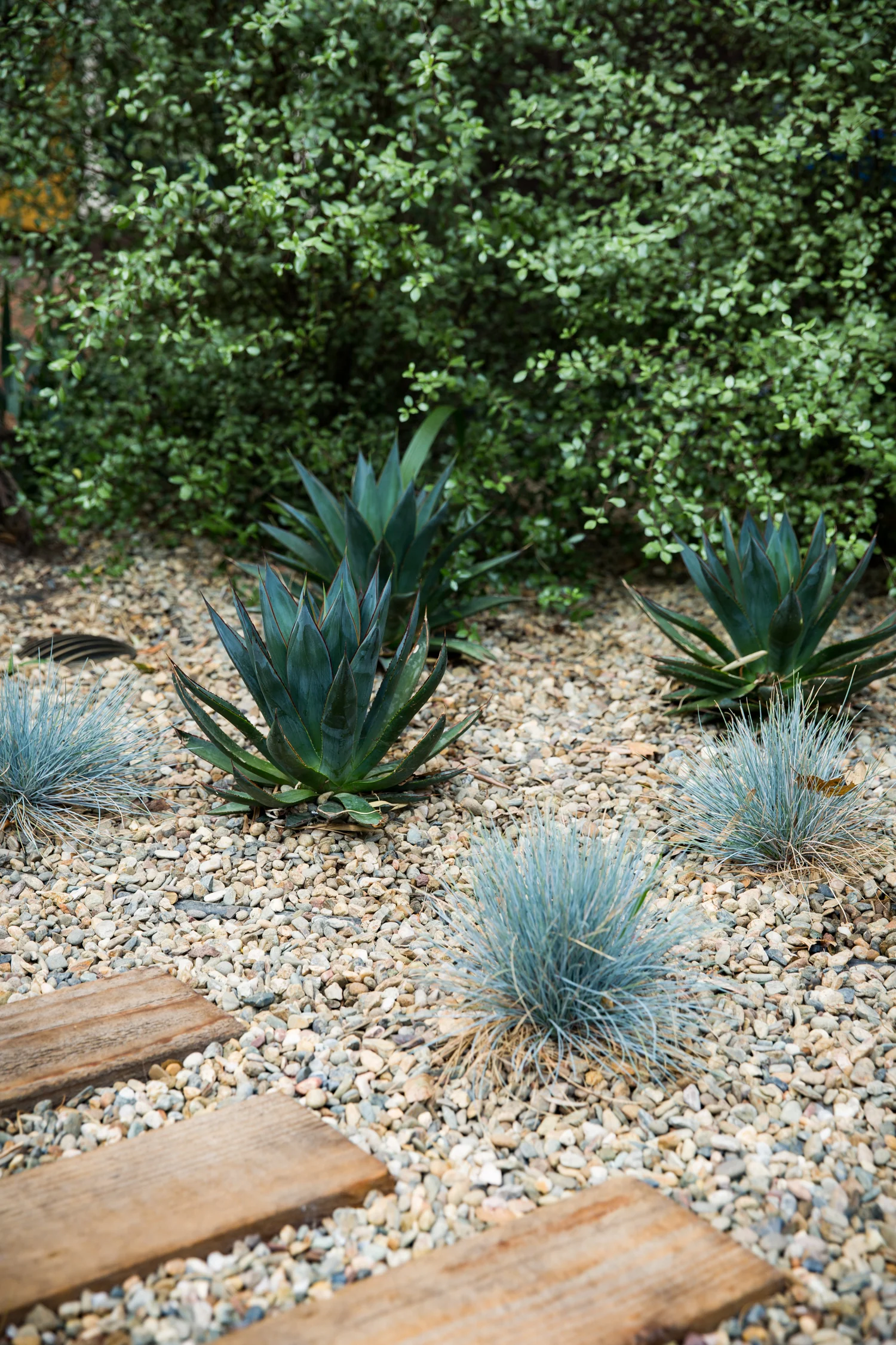 erinscottphotography_homesteaddesigncollective_sonomaproject-27.jpg