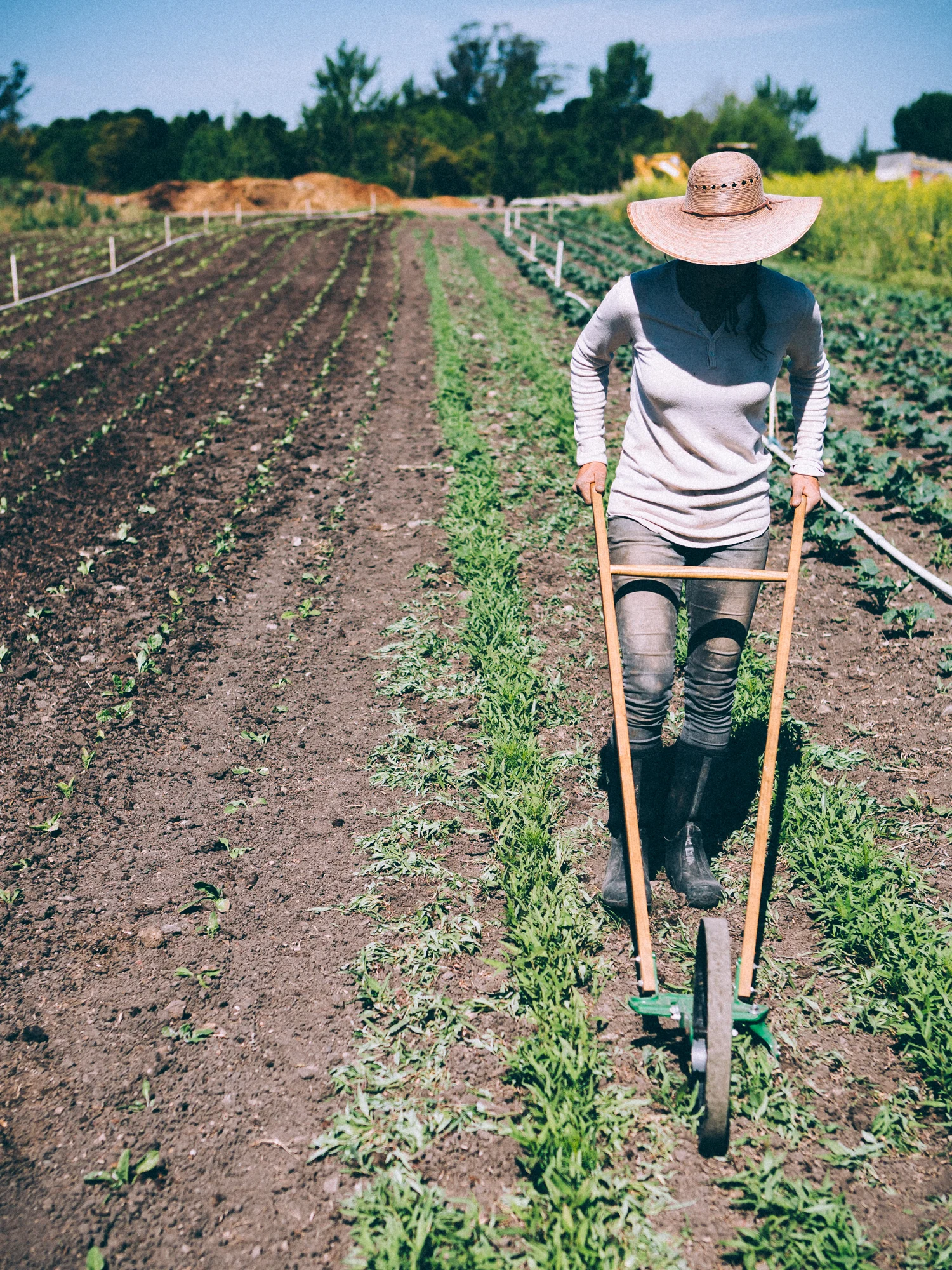 erinscottphotography_farmsandfarmers-19.jpg