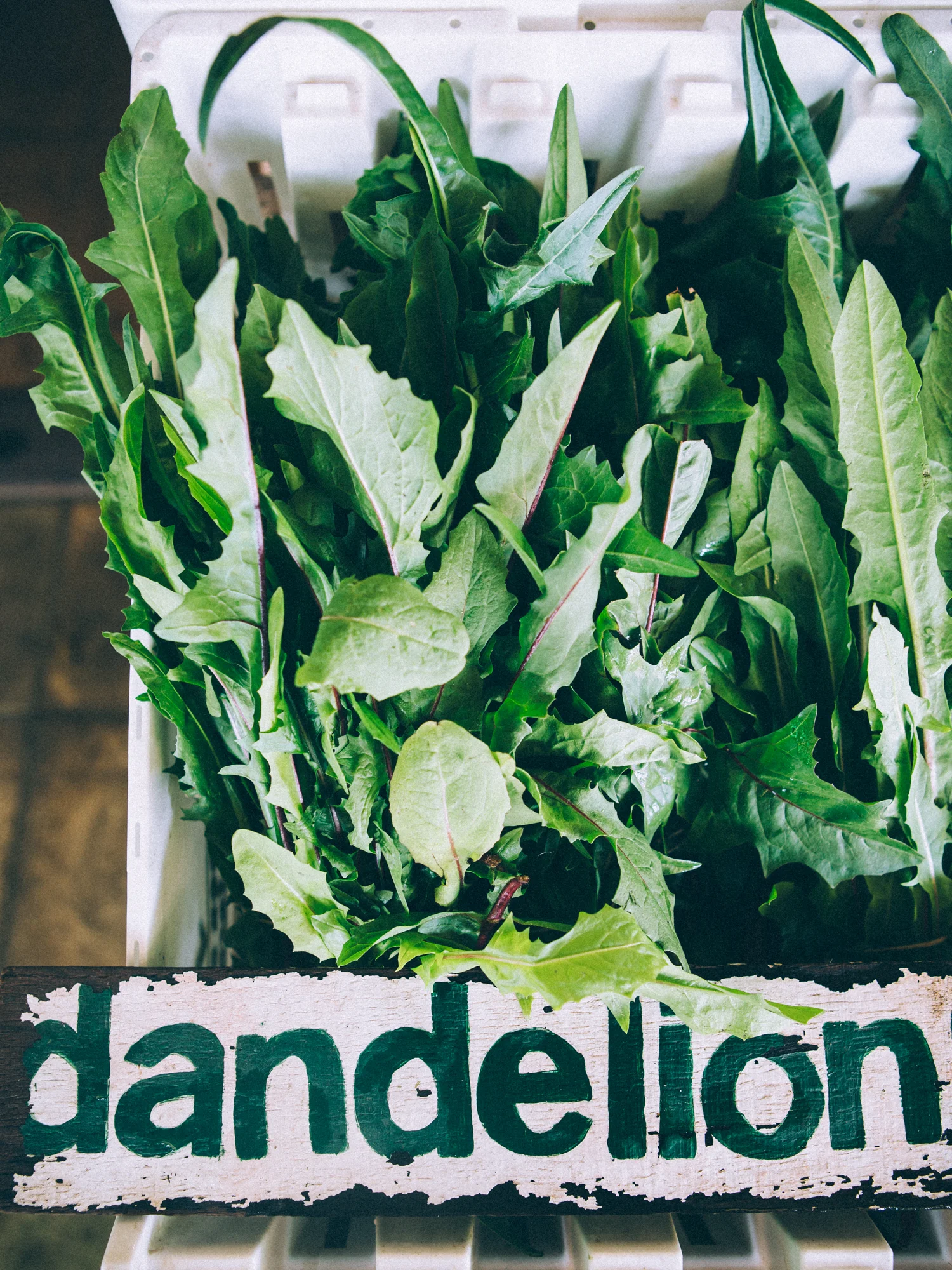erinscottphotography_farmsandfarmers-24.jpg