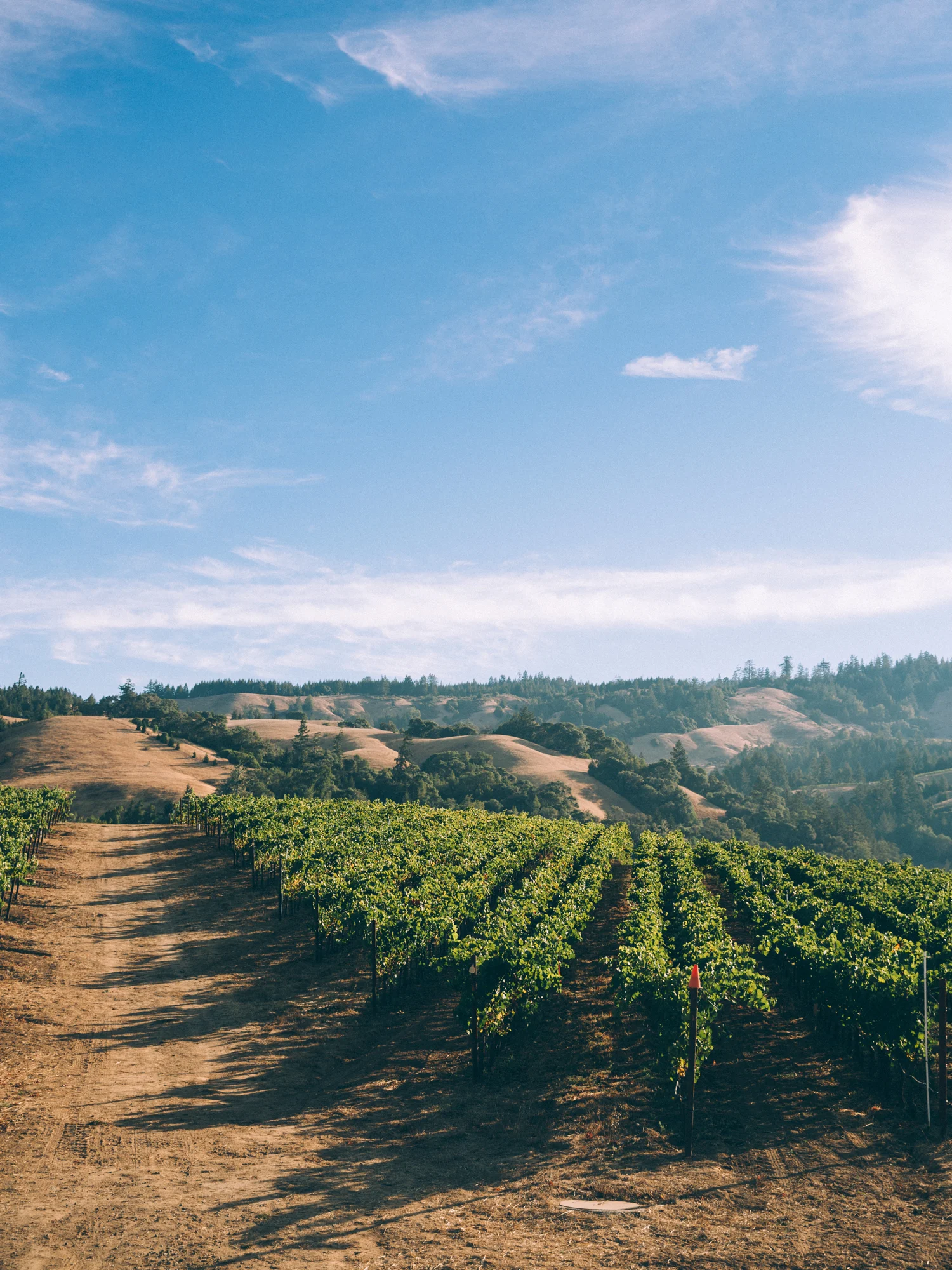 erinscottphotography_farmsandfarmers-37.jpg