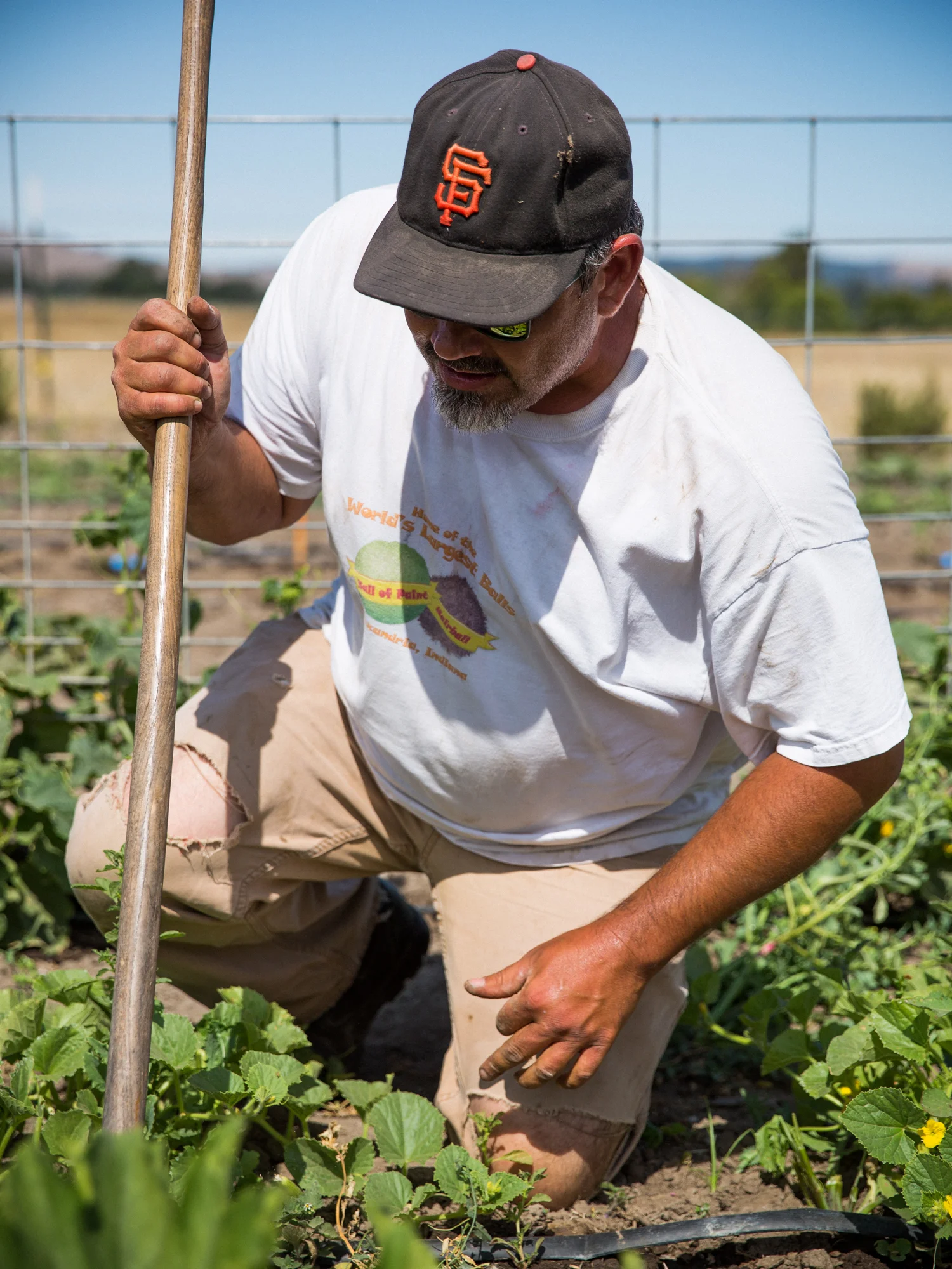 erinscottphotography_farmsandfarmers-36.jpg