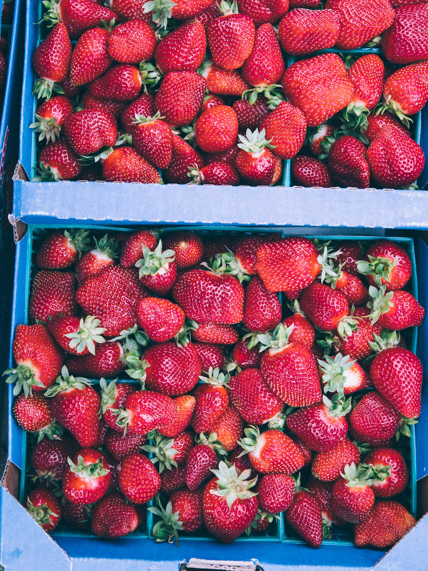 erinscottphotography_farmsandfarmers-56.jpg
