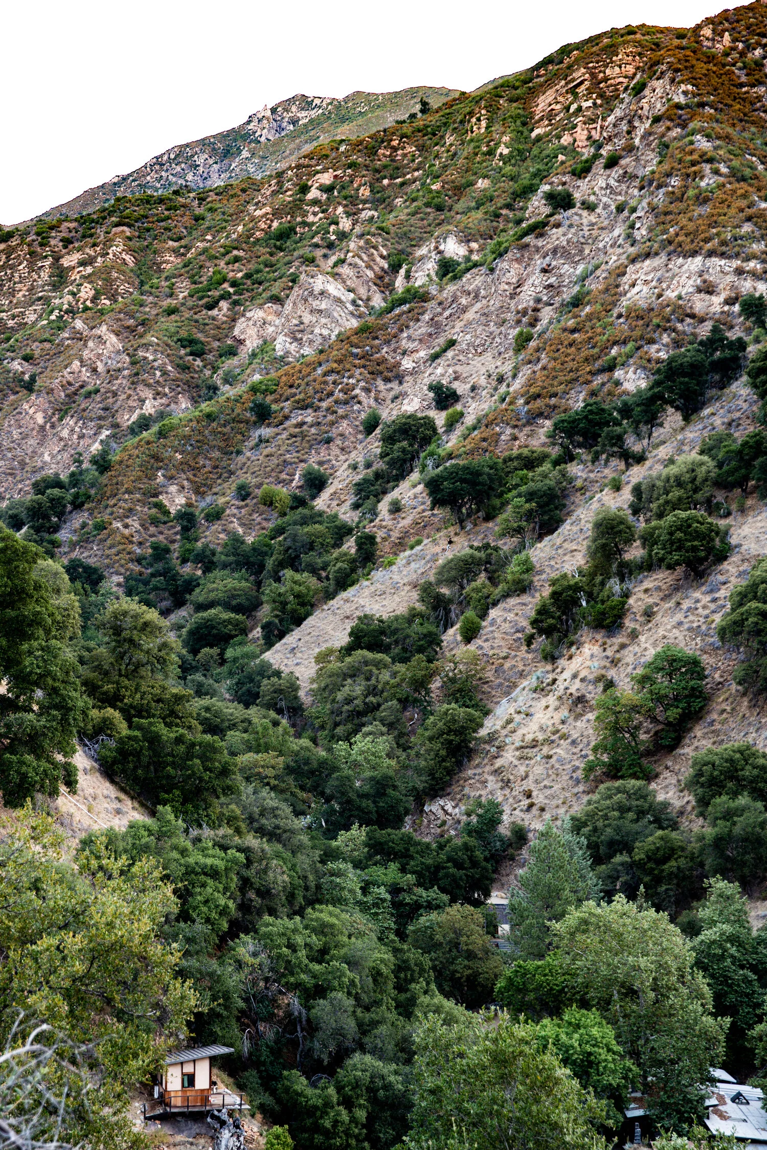 erinscottphotography_tassajara+zencenter+nature+photographer-24.jpg