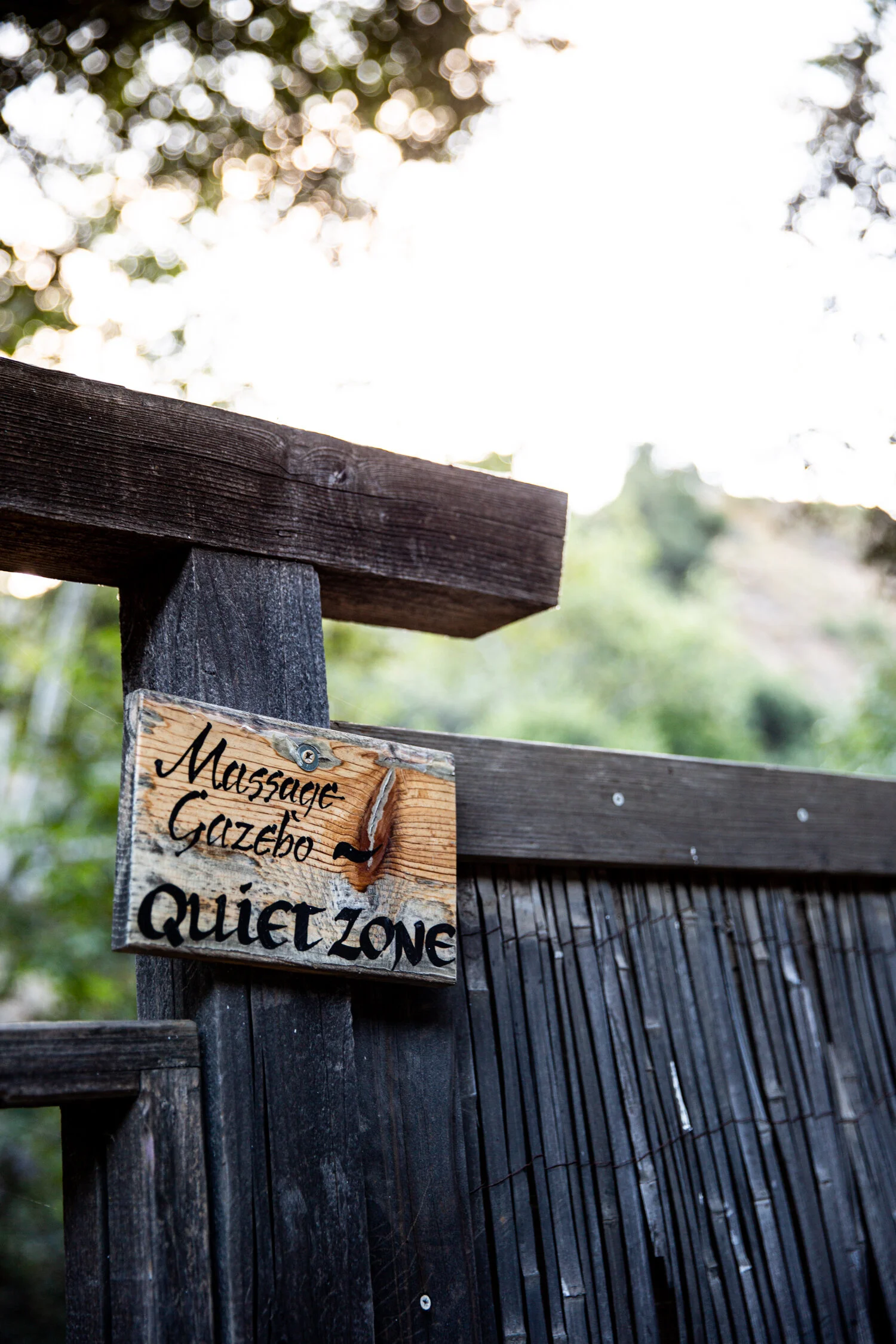 erinscottphotography_tassajara+zencenter+nature+photographer-26.jpg