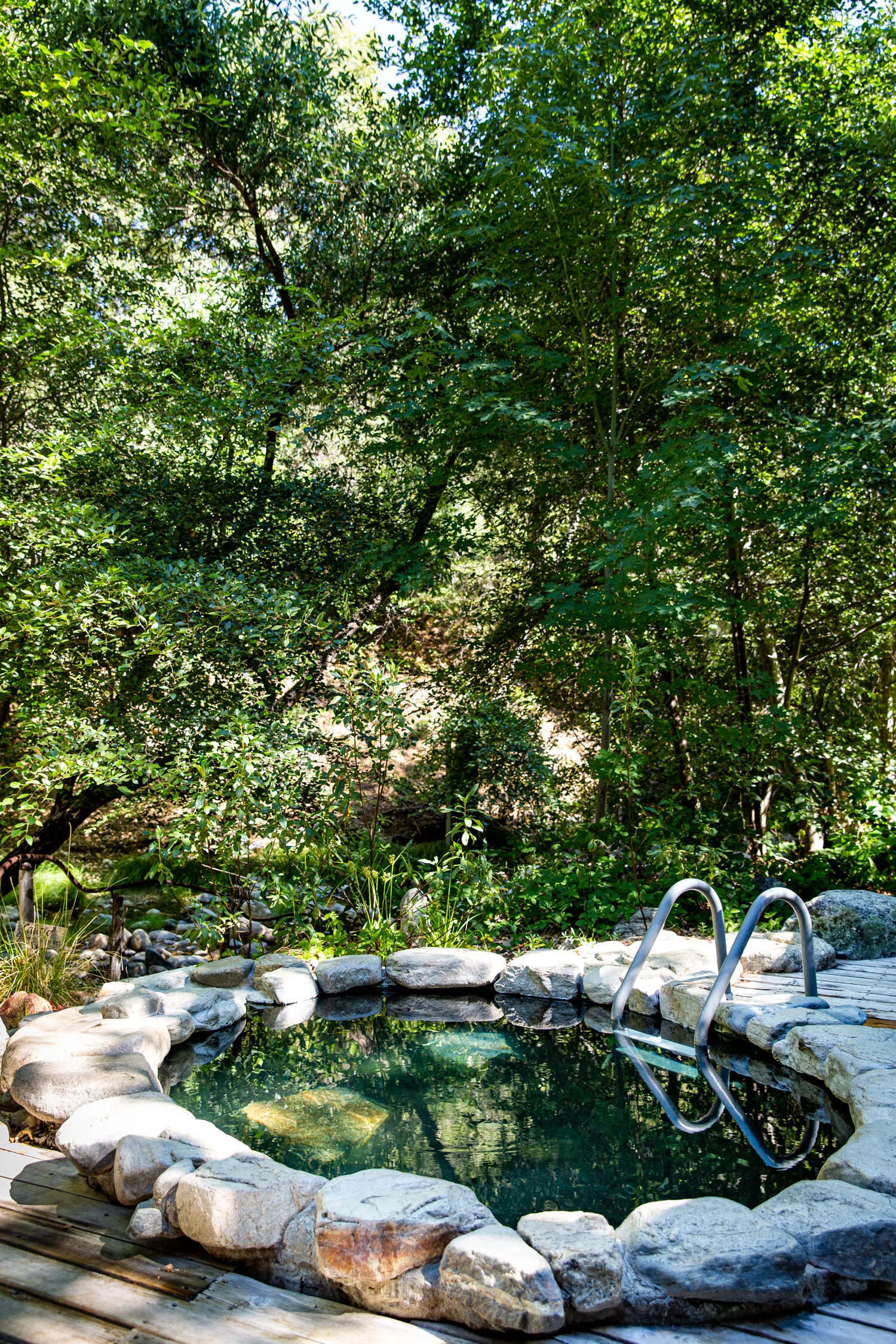 erinscottphotography_tassajara+zencenter+nature+photographer-20.jpg