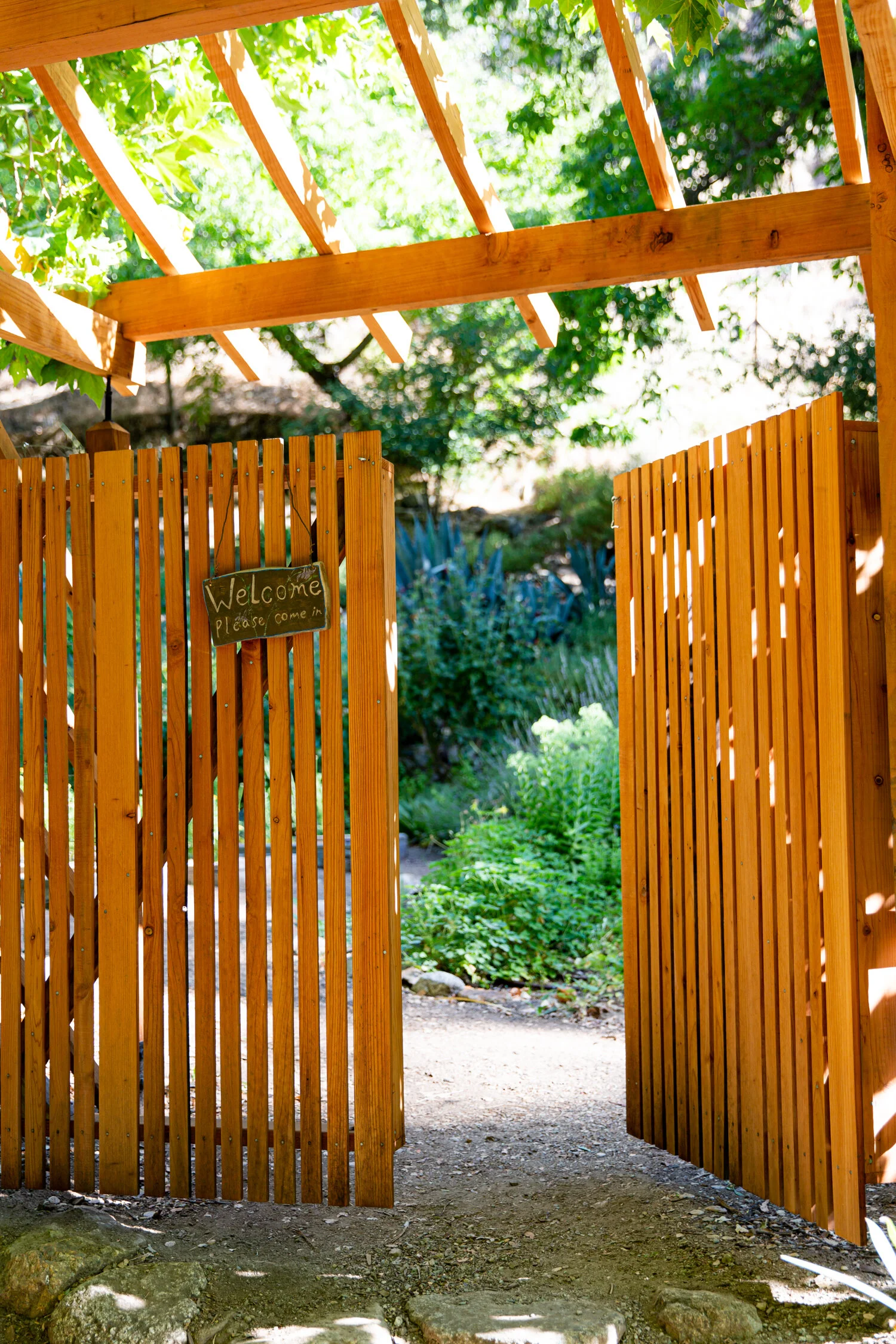 erinscottphotography_tassajara+zencenter+nature+photographer-19.jpg
